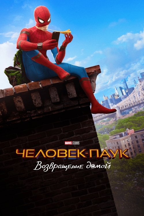 Человек-паук: Возвращение домой — постер 2017